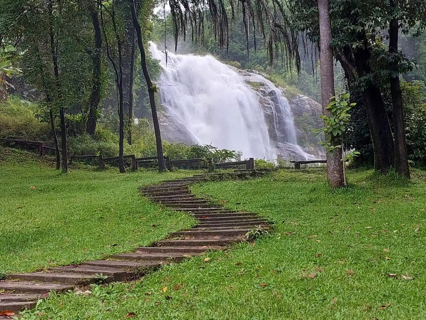 A waterfall in the forest near Chiangmai Elephant Land