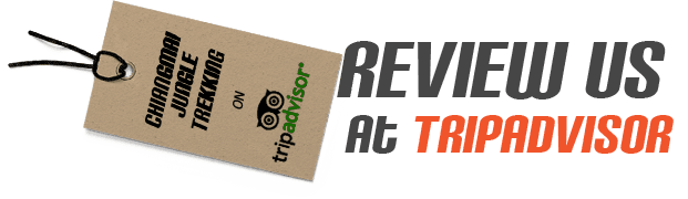 Review us at Tripadvisor