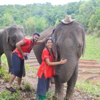 Chiangmai elephant land elephant