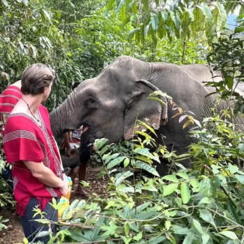 One Day Observation, Trekking & Bamboo Raft 6