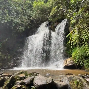 Overnight Stay at Elephant Land