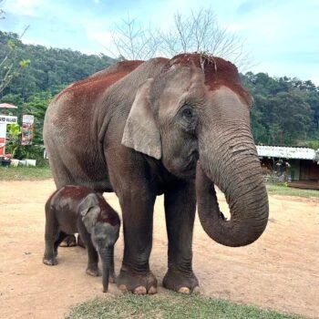 Two Day Visit & Doi Inthanon National Park 8