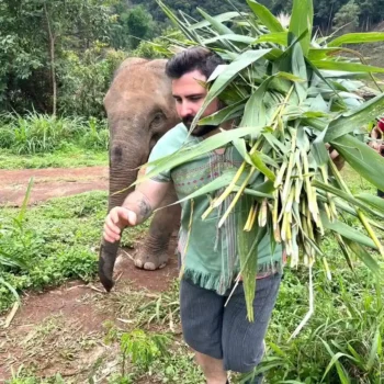 chiangmai-elephant-land-1day-1