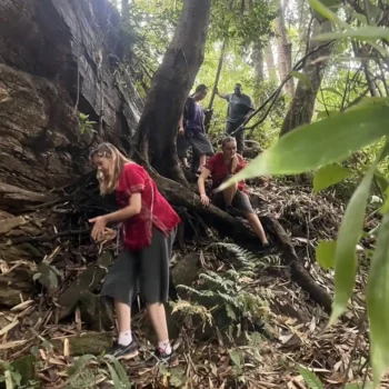 chiangmai-elephant-land-1day-6