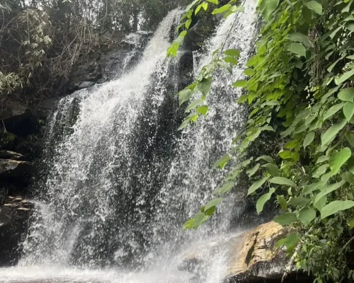 Half day to elephant land 3