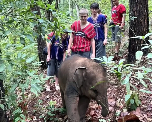 One Day Observation, Trekking & Bamboo Raft 4