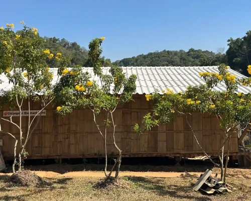 Two Day Visit & Doi Inthanon National Park 11