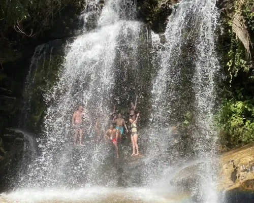 chiangmai-elephant-land-1day-7